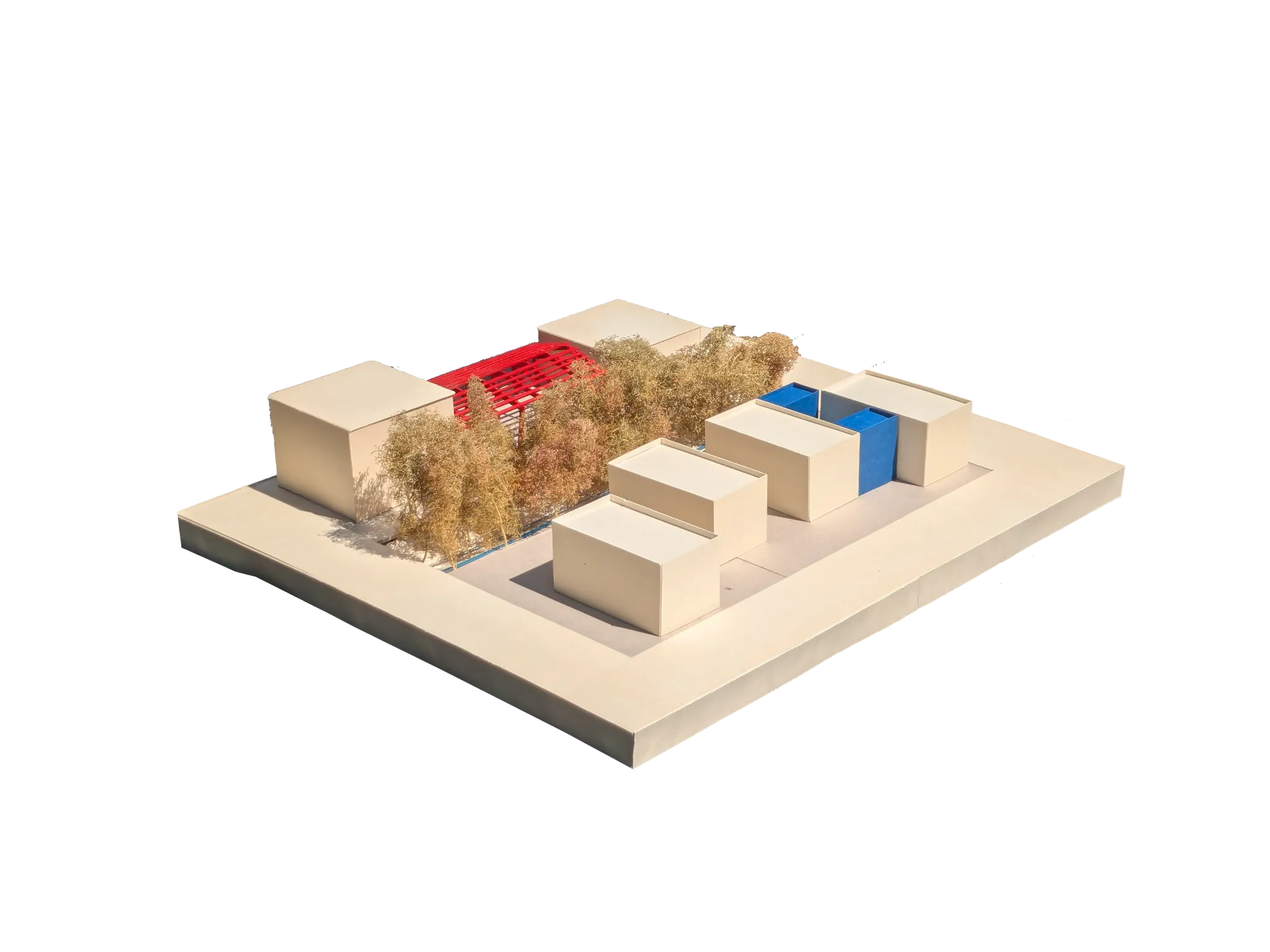 Projet