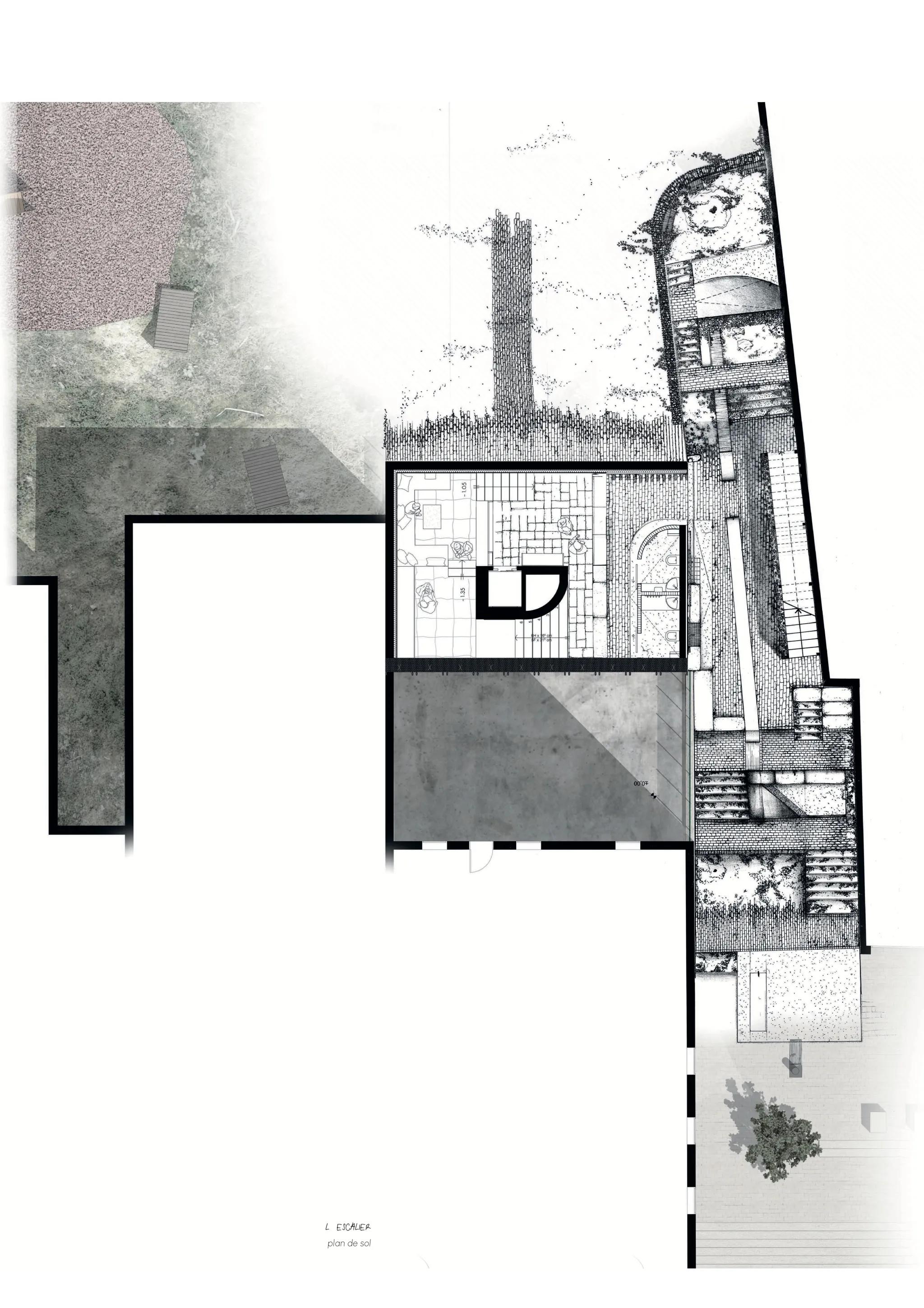 Projet