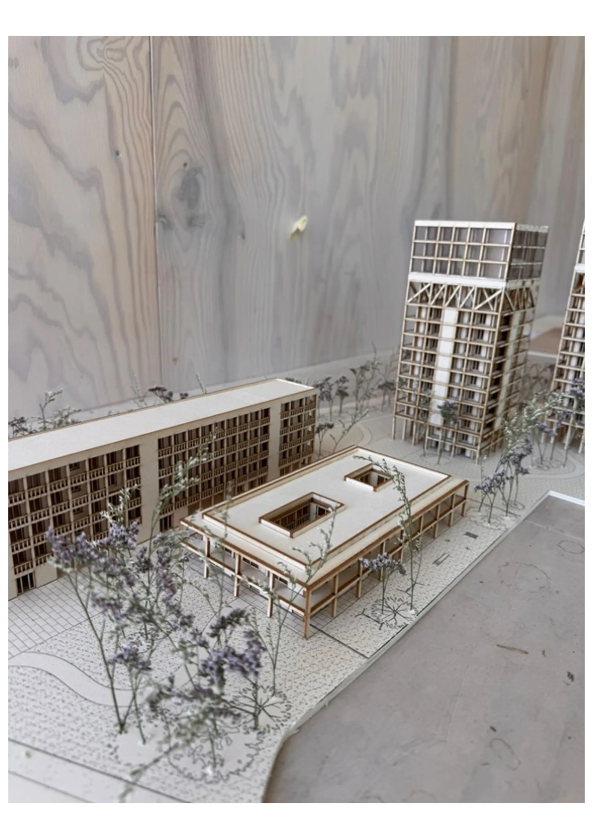Projet