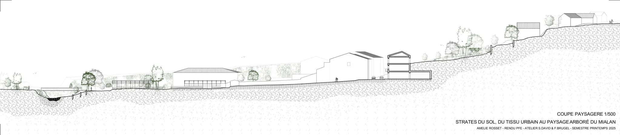 Projet