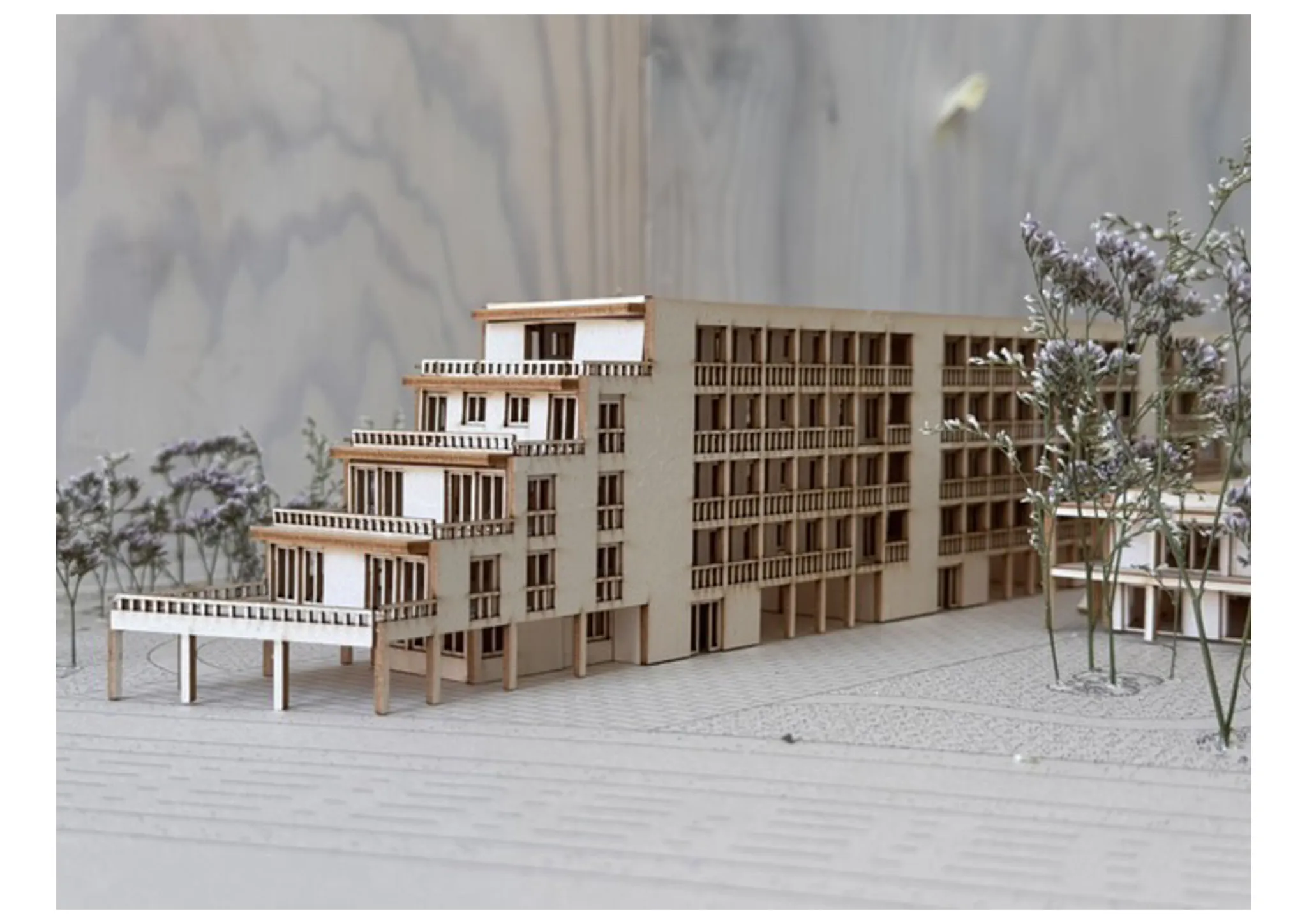 Projet