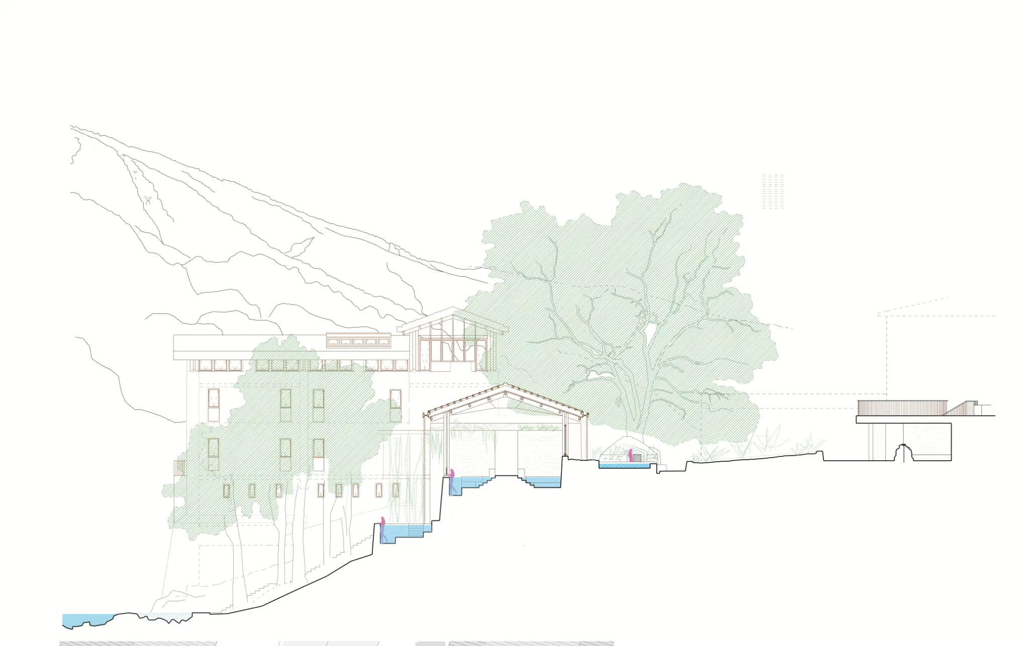 Projet