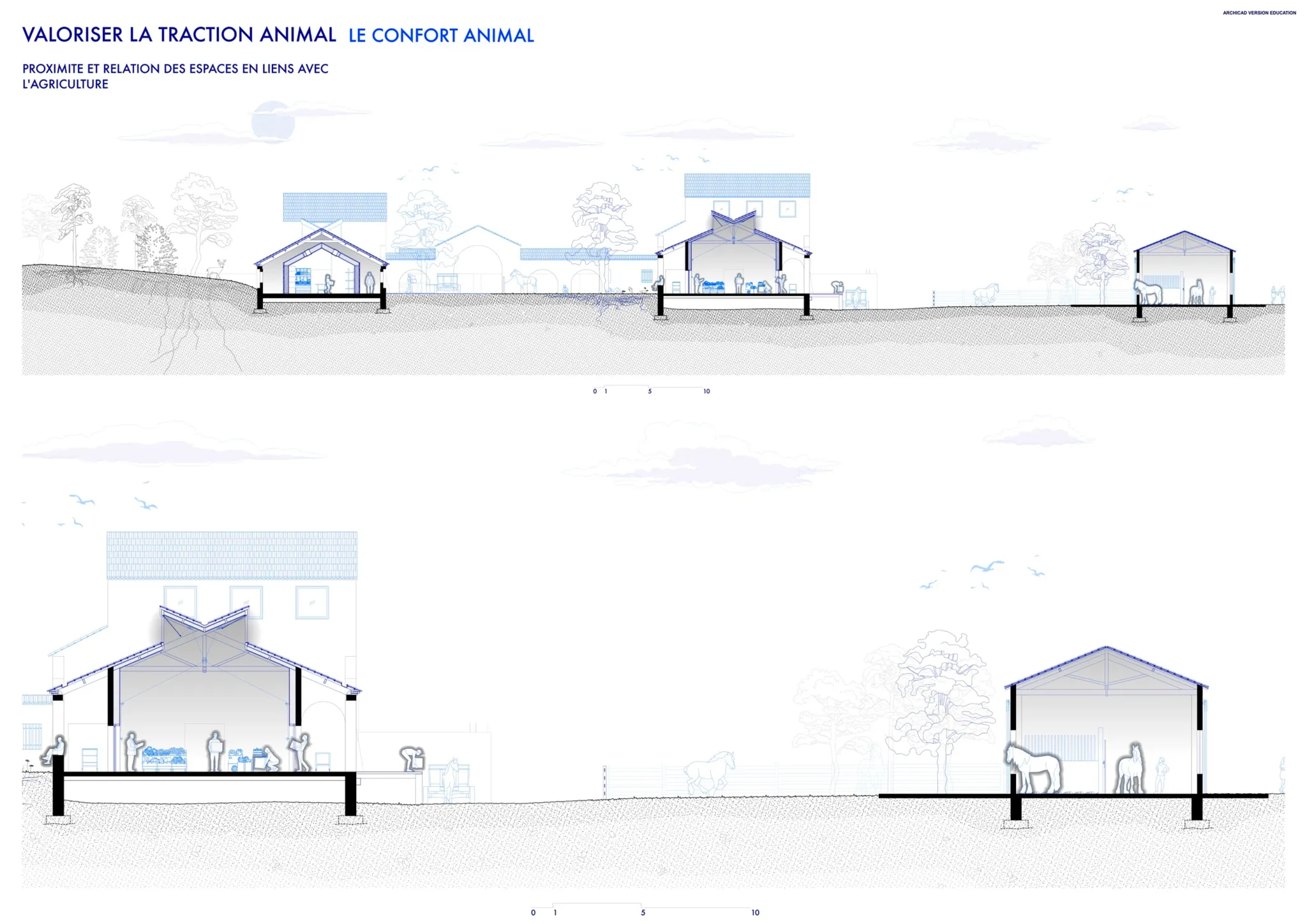 Projet