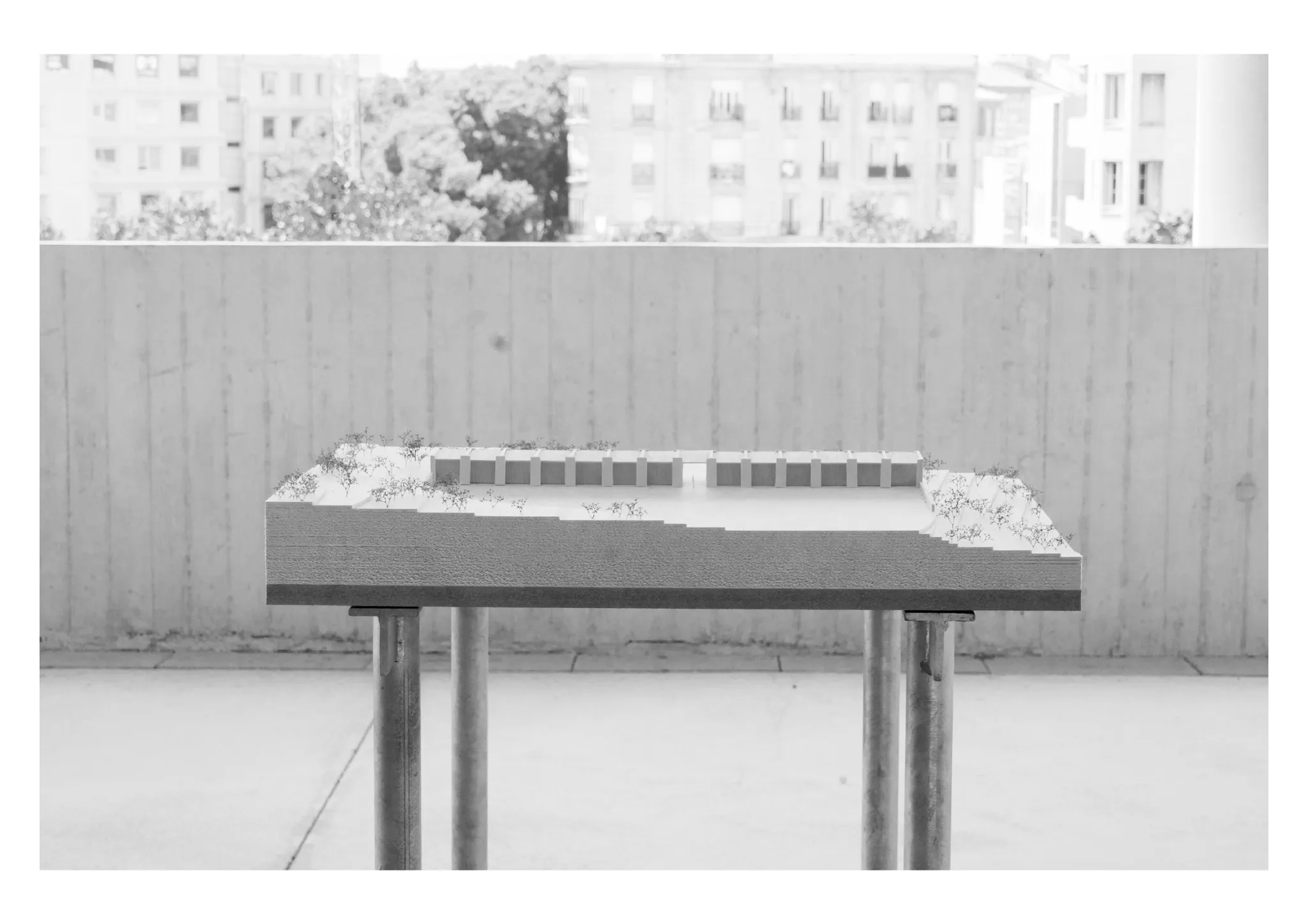 Projet