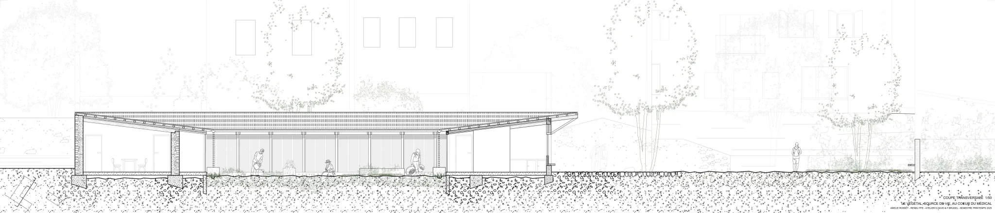 Projet