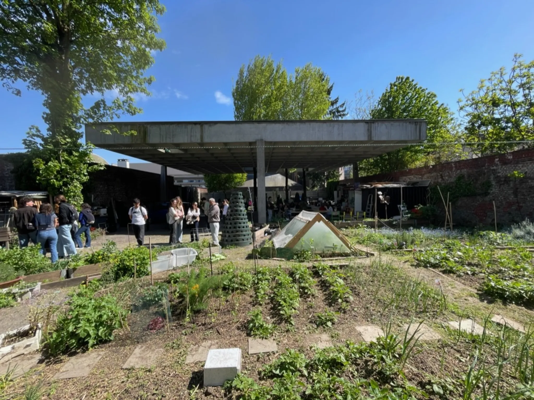 Baukunst Halle 1