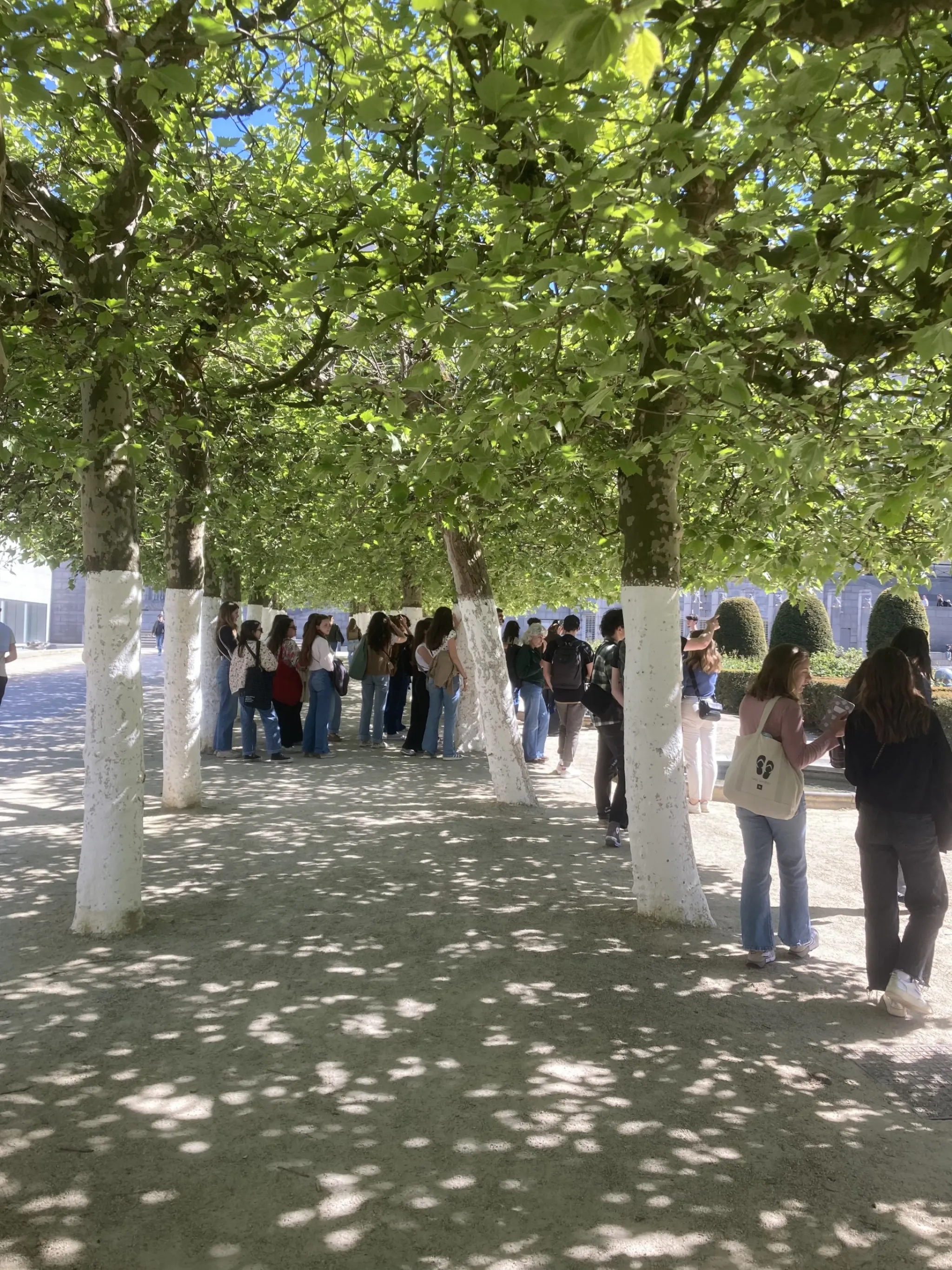 Mont des Arts