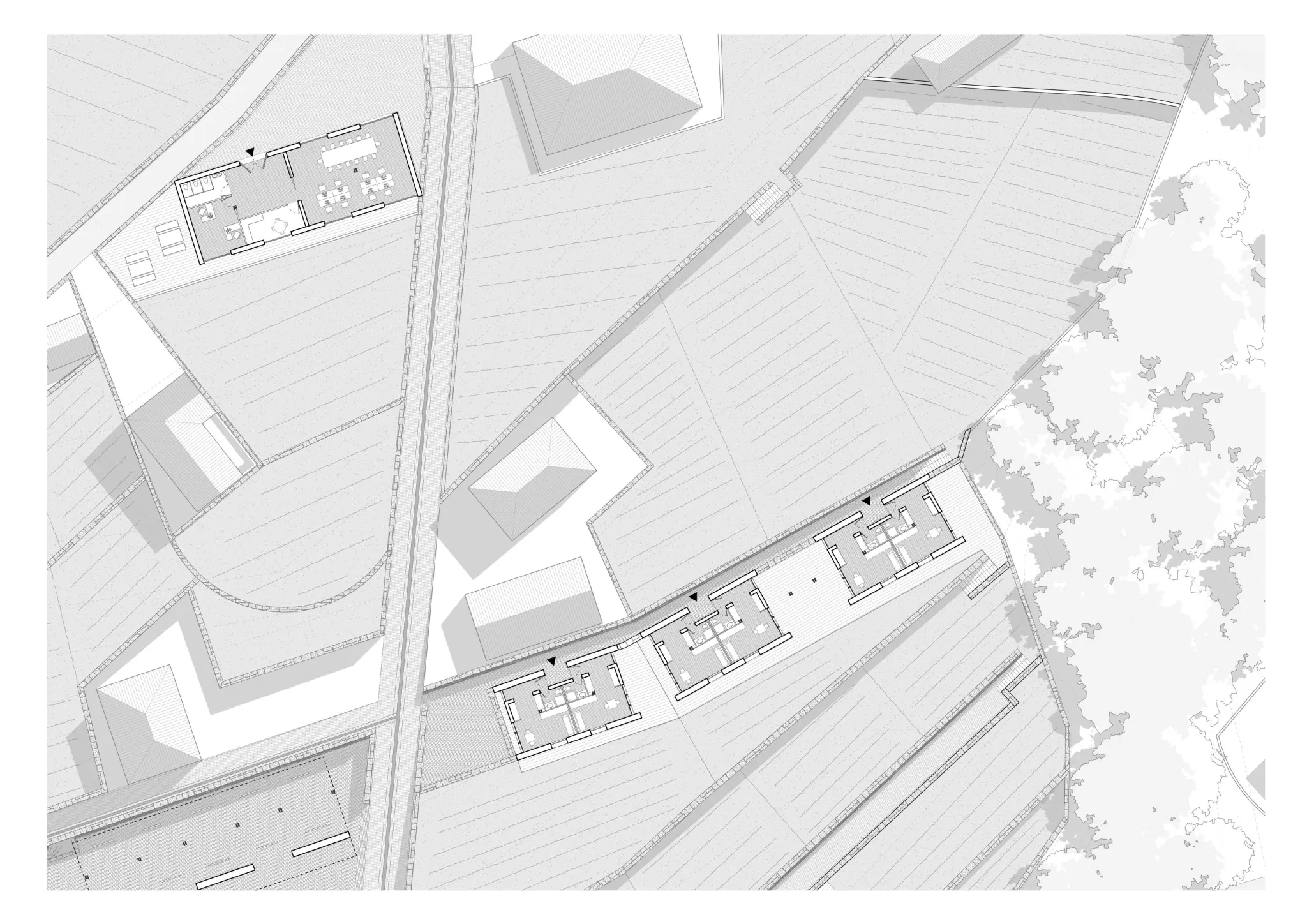 Projet
