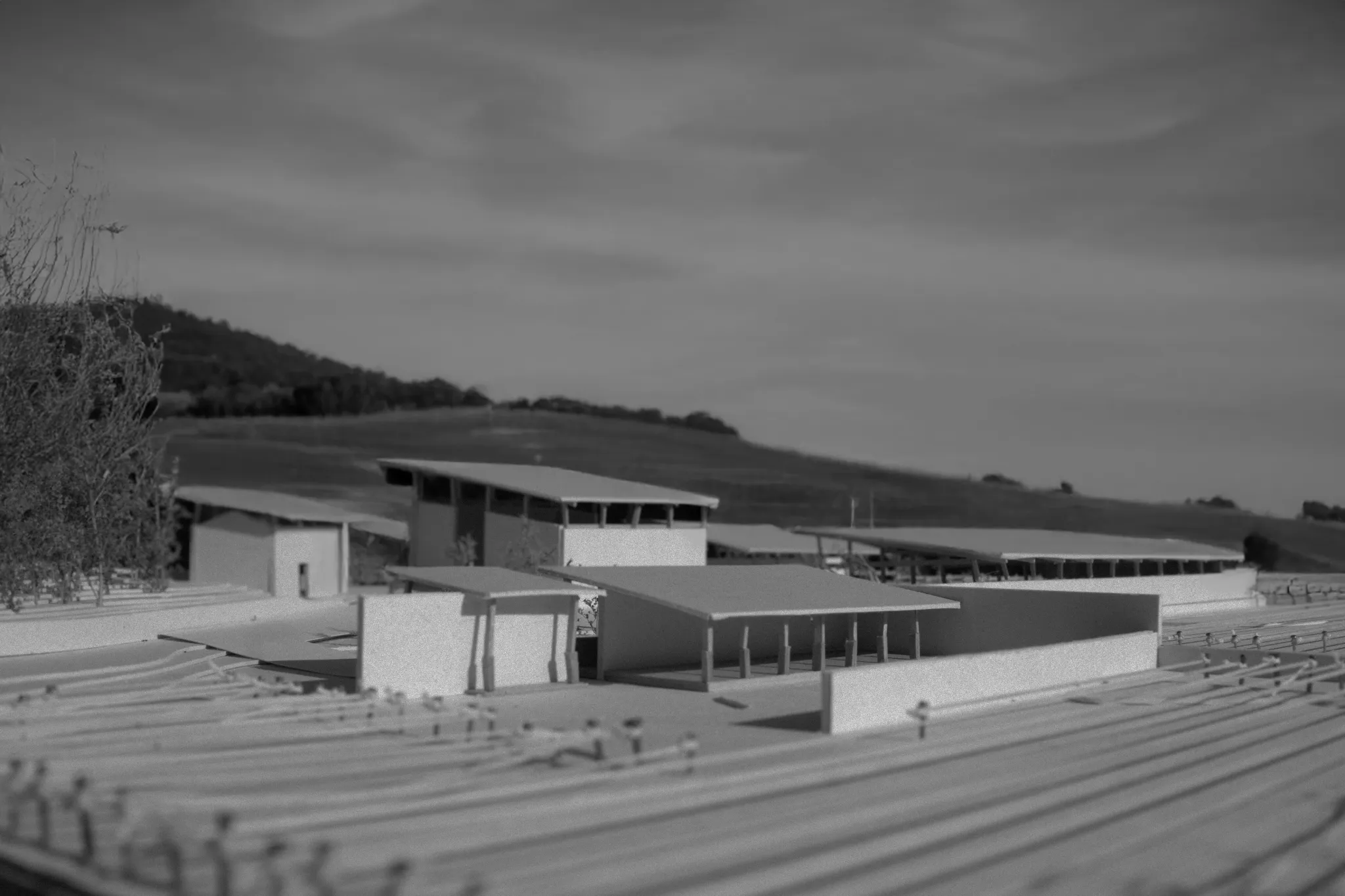 Projet