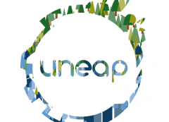 Logo_UNEAP